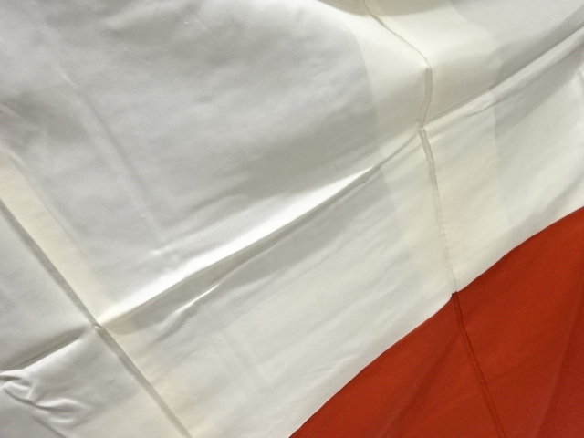  縞に更紗模様織出し本場泥大島紬着物（9マルキ）